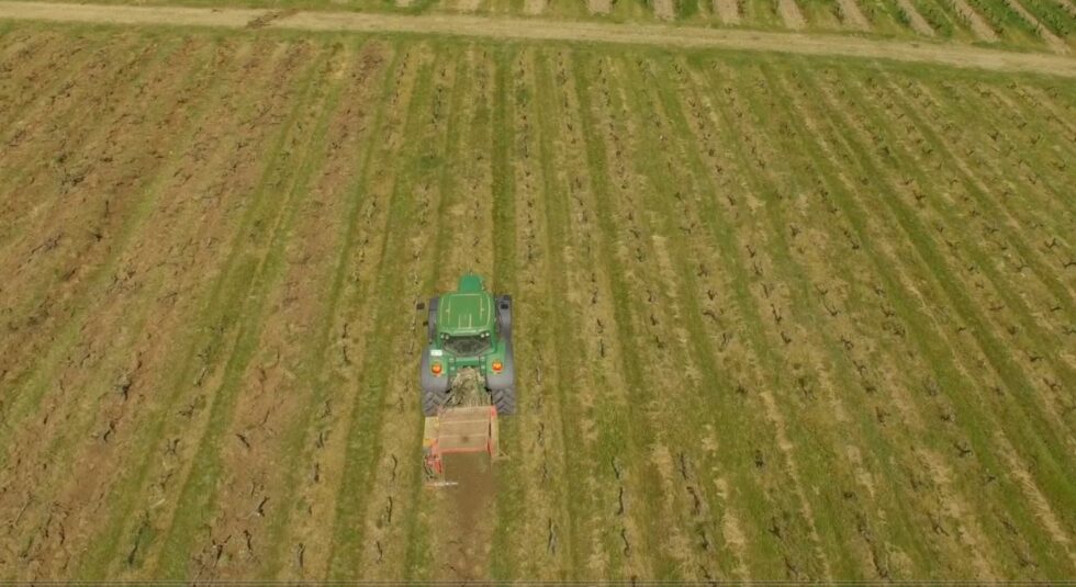 arrachage agricole viticole Bellevigne-en-Layon