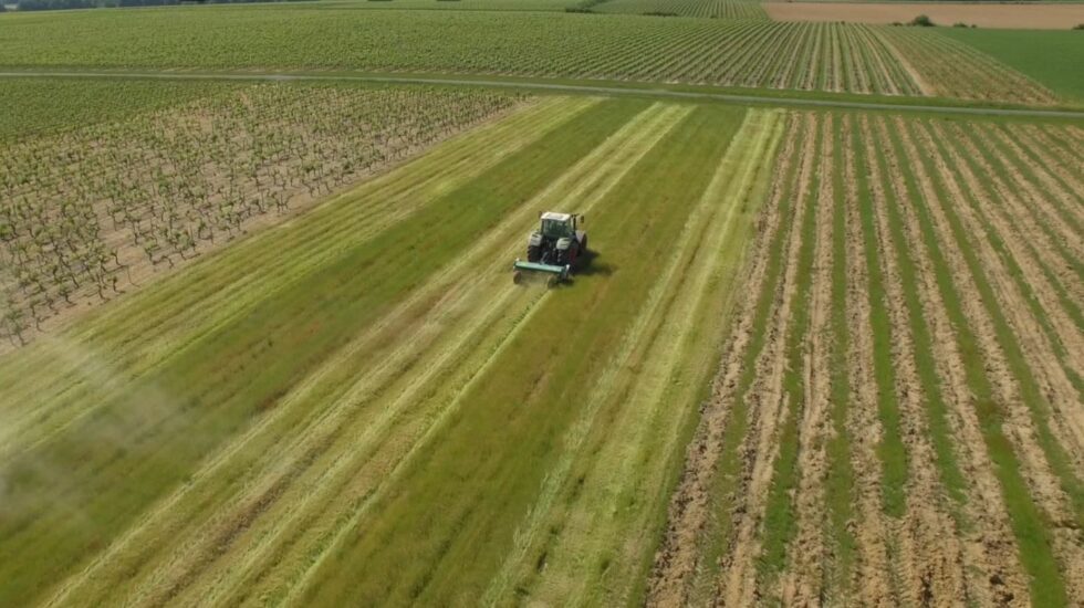 Gyrobroyeur viticole saumur