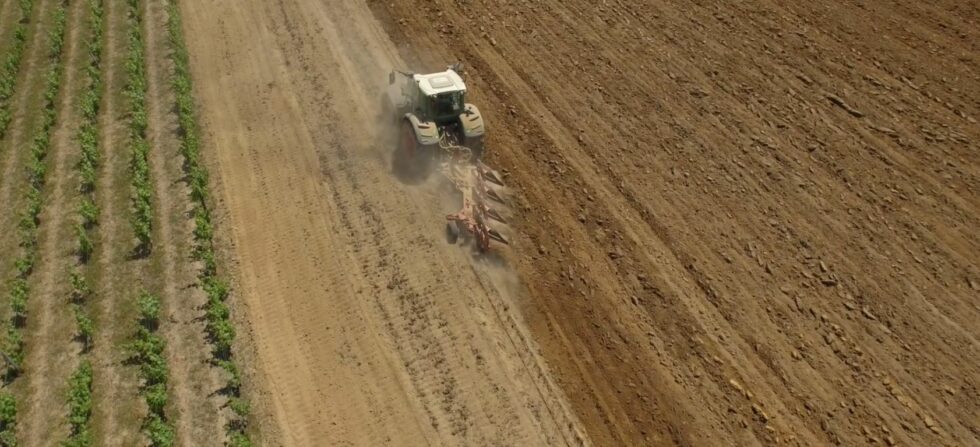 labour 4 socs viticole angers